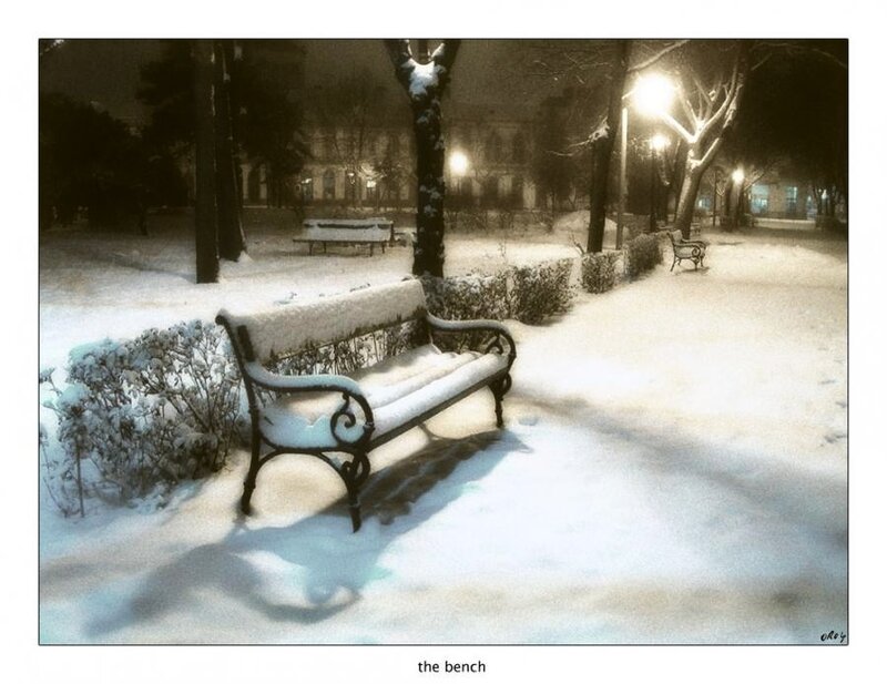 snow-covered bench at night