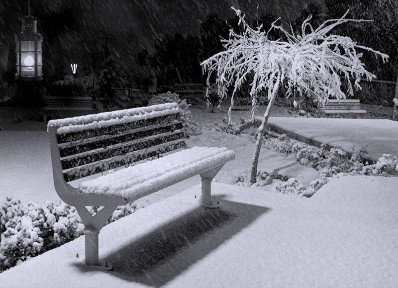 Snow-covered Bench — Black, Serene