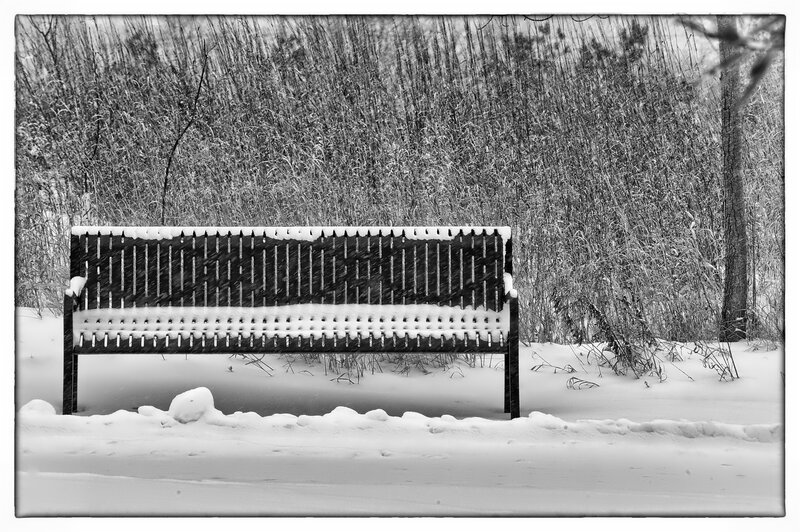 Snow-covered Bench — Black