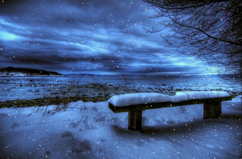 Snow-covered Bench — Blue, Cold