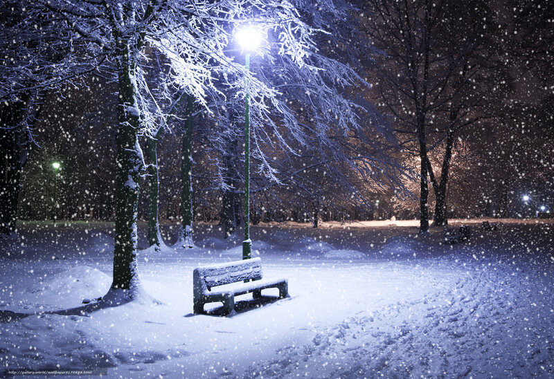 Snow-covered Bench — Blue, Serene, Night, Photograph, Trees