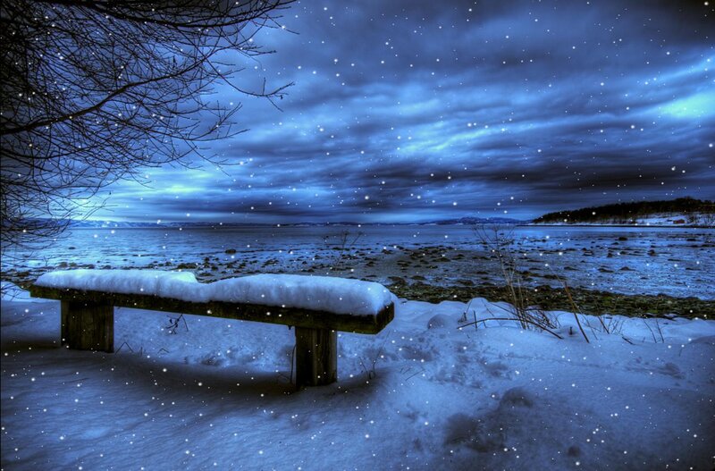 Snow-covered Bench — Blue, Serene, Night