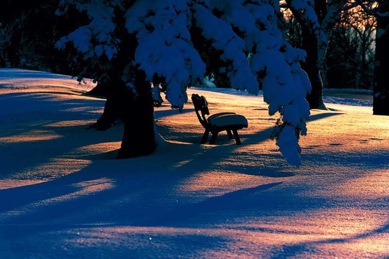Snow-covered Bench — Blue, Serene, Winter, Photograph