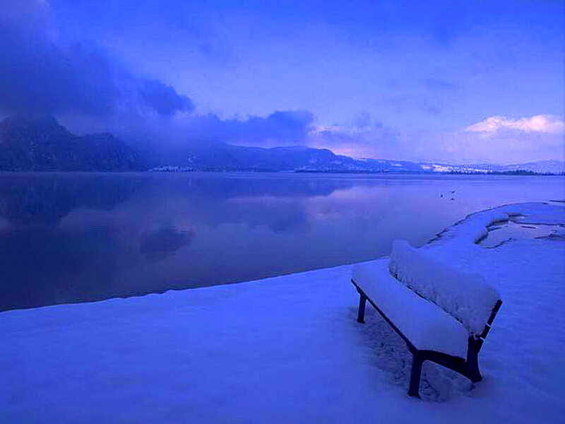 Snow-covered Bench — Blue, Serene, Winter