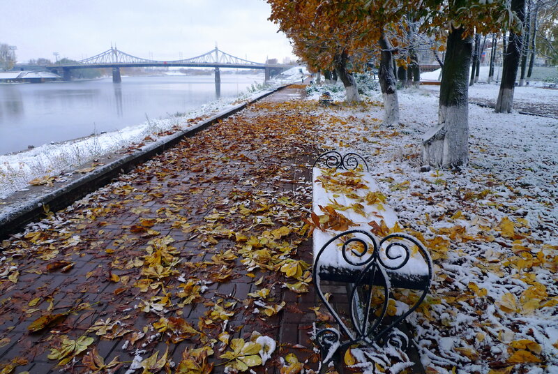 Snow-covered Bench — Brown