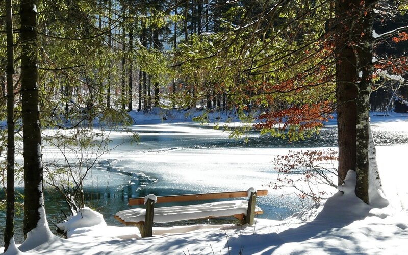 Snow-covered Bench by Lake — Serene