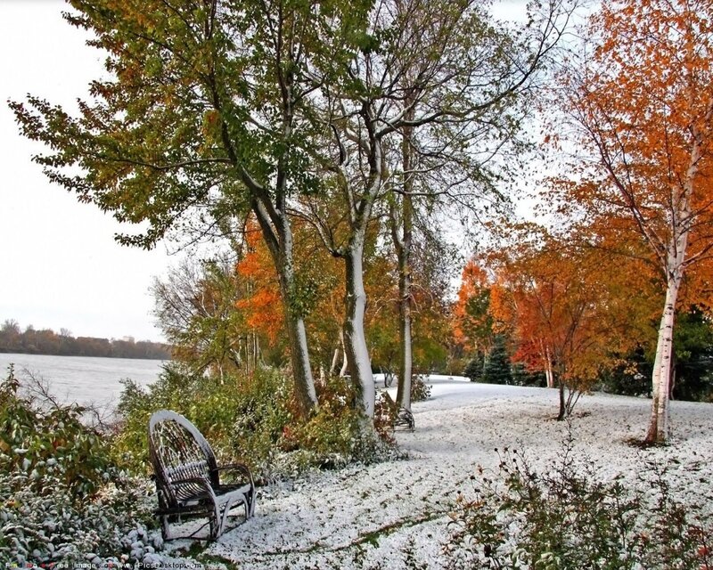 Snow-covered Bench by Lake