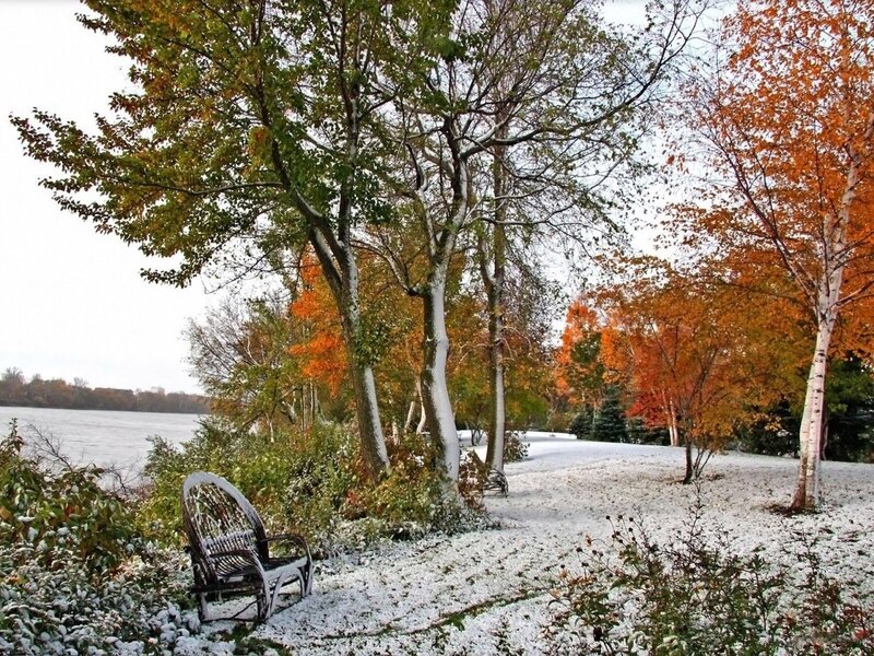Snow-covered Bench by Lake — White, Serene, Autumn