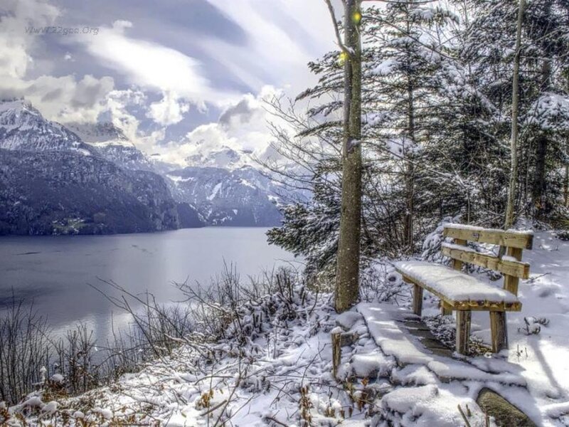 Snow-covered Bench by Lake — White, Serene