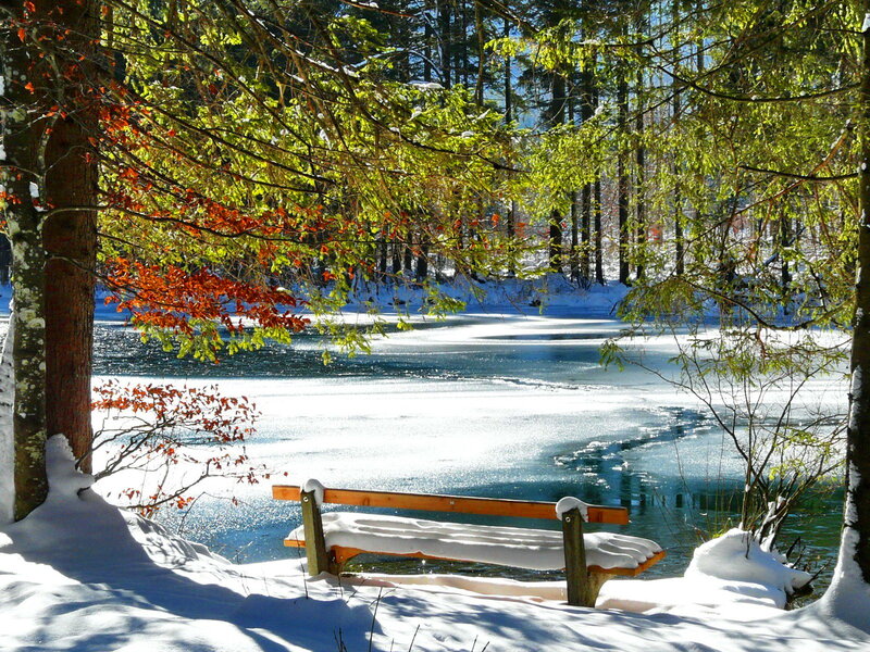 Snow-covered Bench by Lake — White, Serene, Winter, Photograph, Trees, Snow