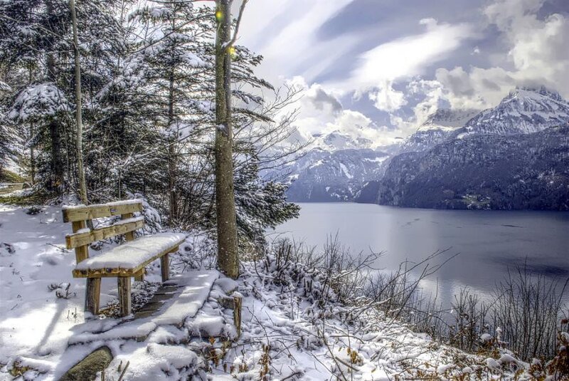 Snow-covered Bench by Lake — White, Serene, Winter