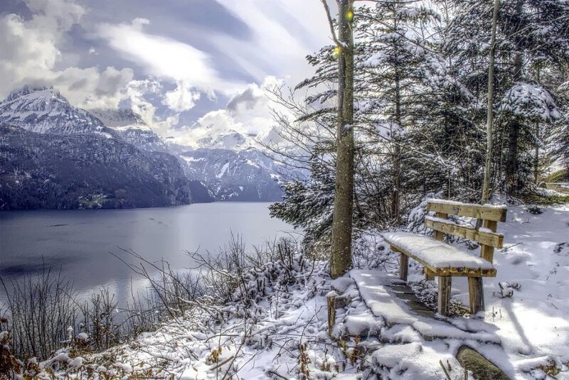 Snow-covered Bench by Lake — White