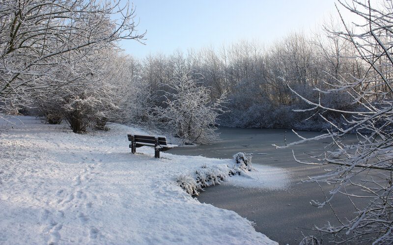 Snow-covered Bench by Pond