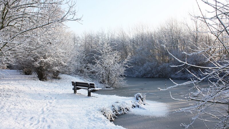 Snow-covered Bench by Pond — White, Serene