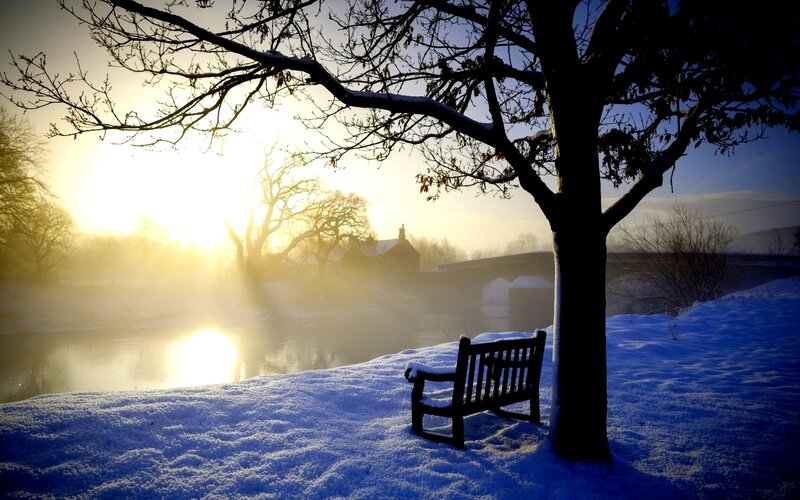 Snow-covered Bench by River — Blue