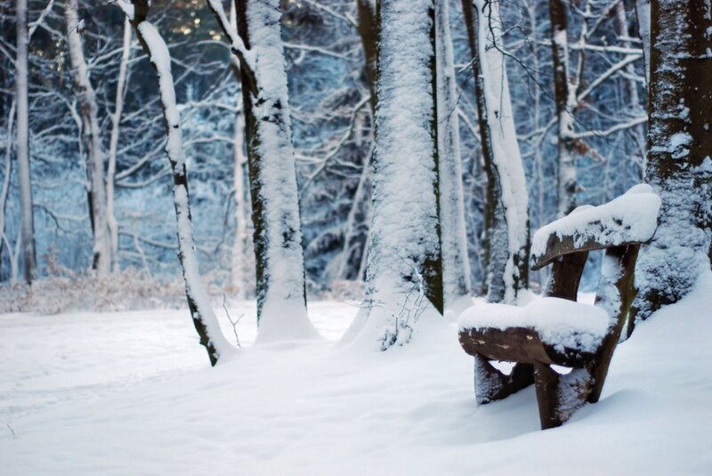 Snow-covered Bench in Forest — White, Serene, Winter, Photograph