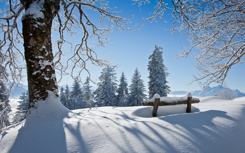 Snow-covered Bench in Forest — White, Serene, Winter, Photograph, Trees, Mountains, Snow