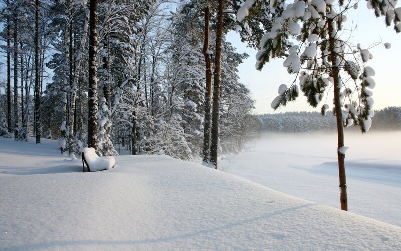 Snow-covered Bench in Forest — White, Serene, Winter, Photograph, Trees, Snow, Fog