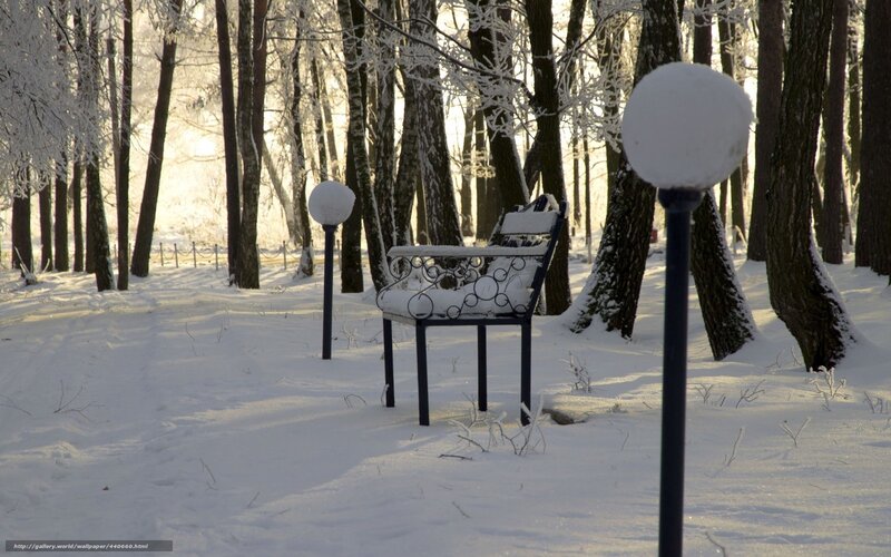 Snow-covered Bench in Forest — White, Serene, Winter, Photograph, Trees, Snow, Lamps