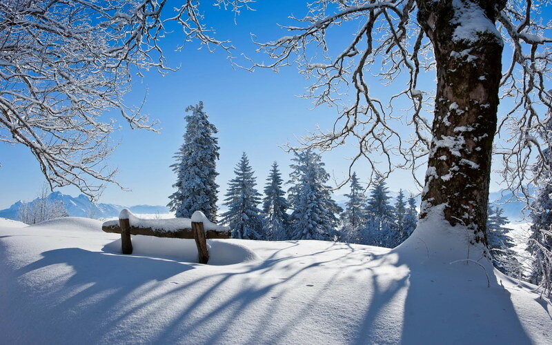 Snow-covered Bench in Forest — White, Serene, Winter, Photograph, Trees
