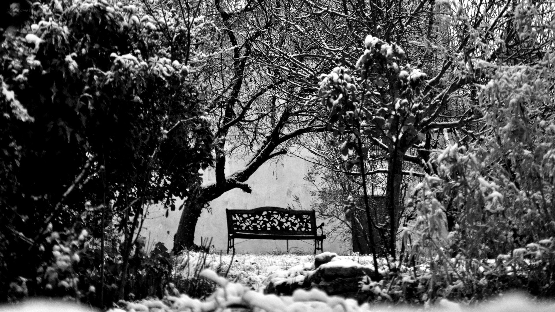 Snow-covered bench in garden