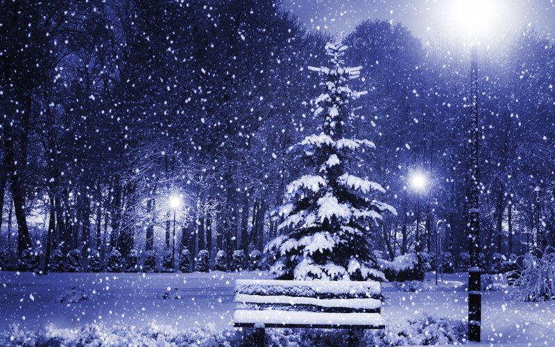 Snow-covered Bench in Park — Blue, Serene