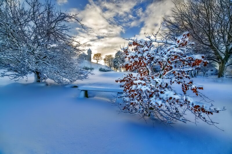 Snow-covered Bench in Park — Blue, Serene, Winter