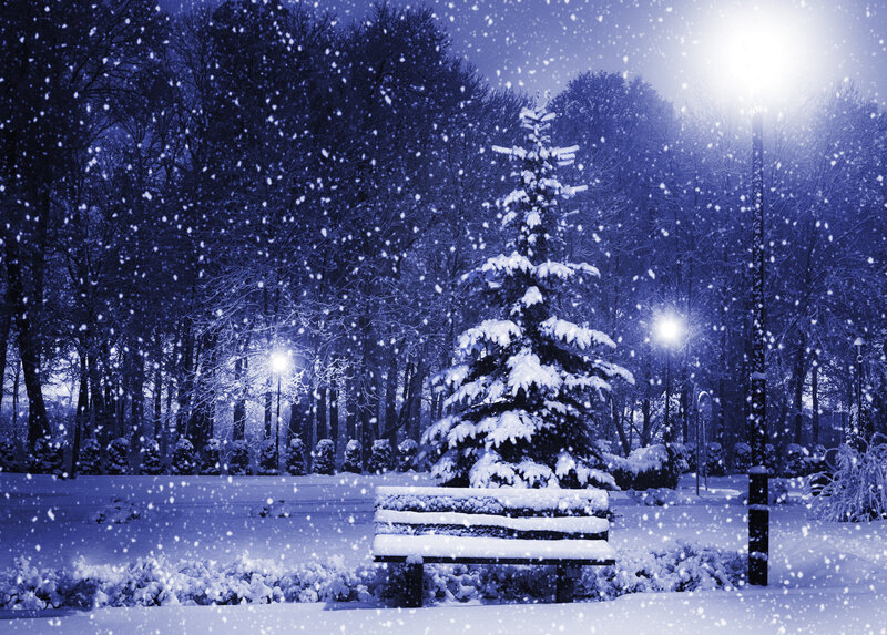 Snow-covered Bench in Park — Blue