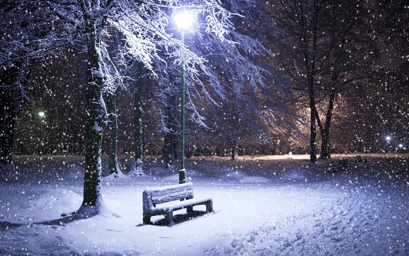 Snow-covered Bench in Park — White, Serene