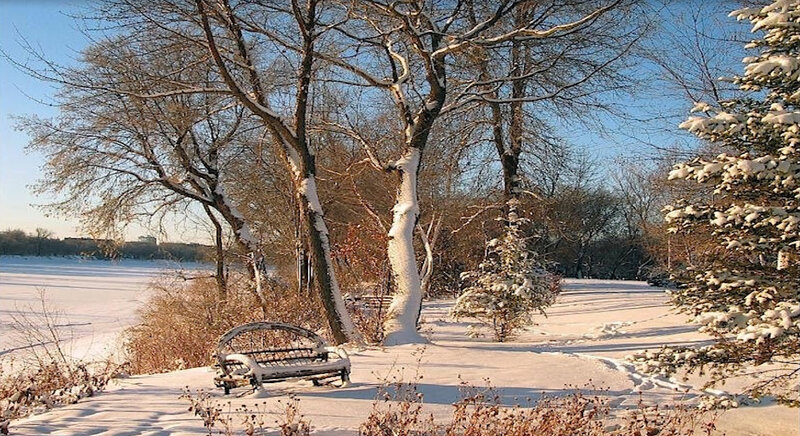 Snow-covered Bench in Park — White, Serene, Winter