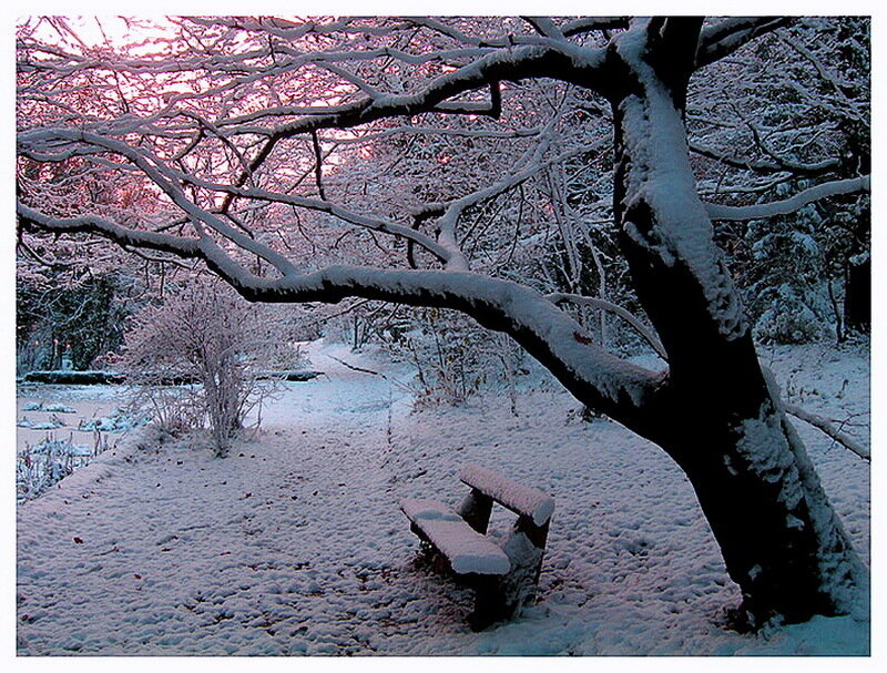 Snow-covered Bench in Park — White