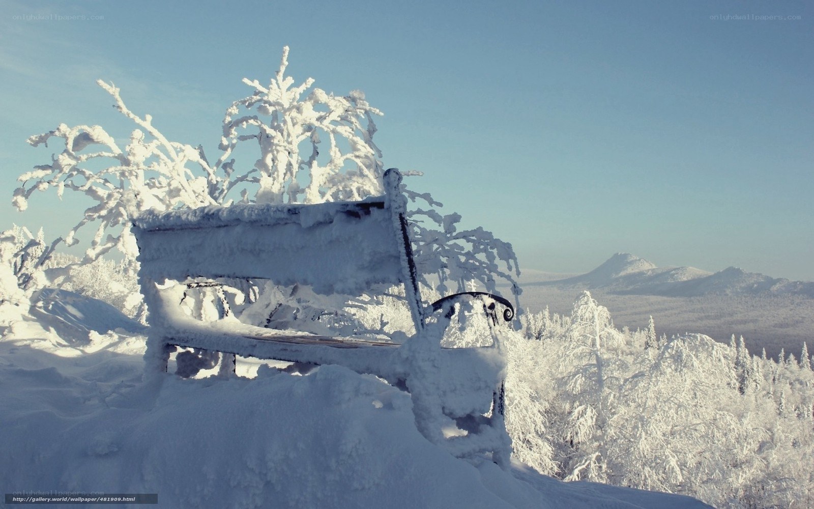 Snow-covered bench in winter