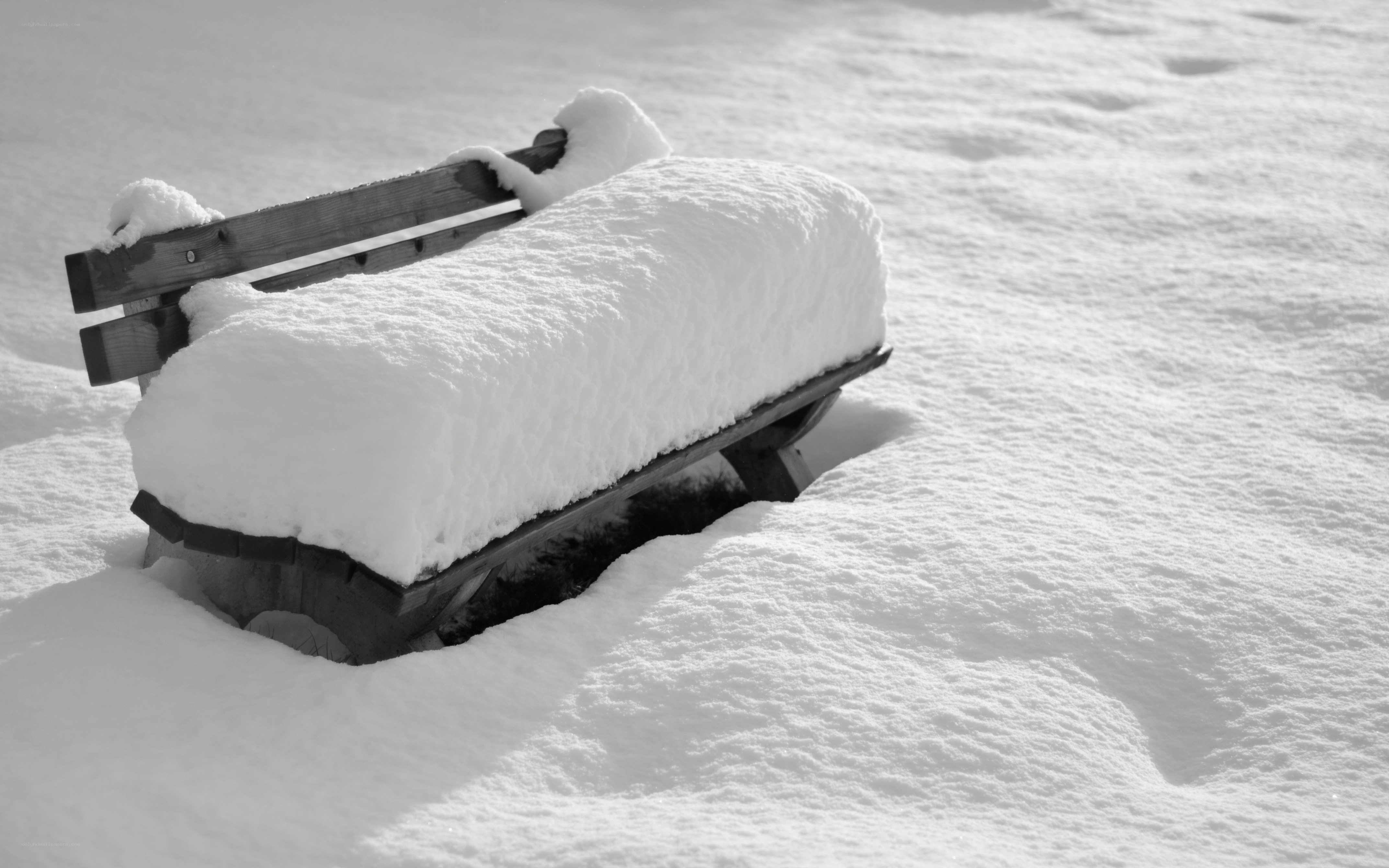 Snow-covered bench in winter
