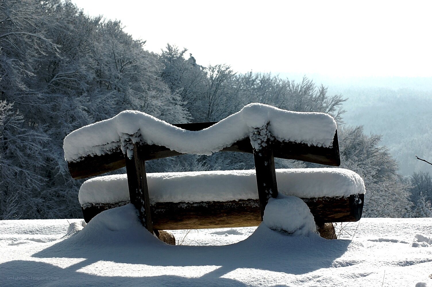 Snow-covered bench in winter