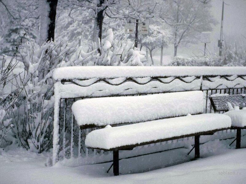 Snow-covered bench in winter