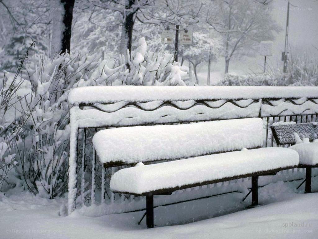 Snow-covered bench in winter
