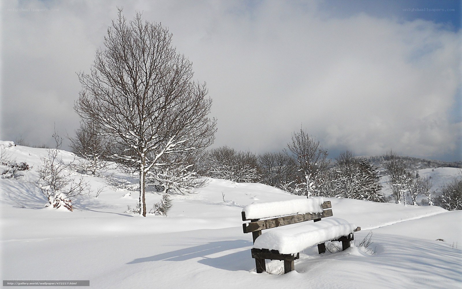 Snow-covered bench in winter landscape