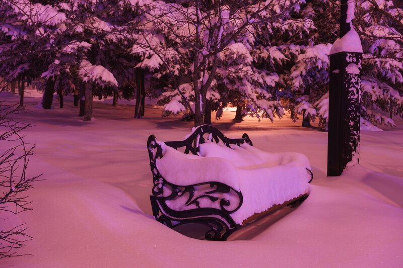 Snow-covered Bench — Purple