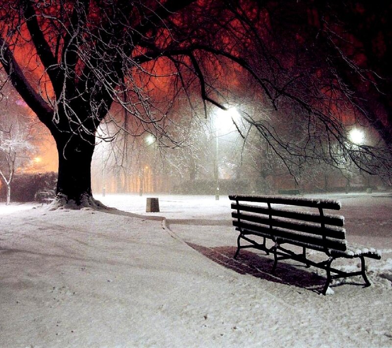 Snow-covered Bench — Red