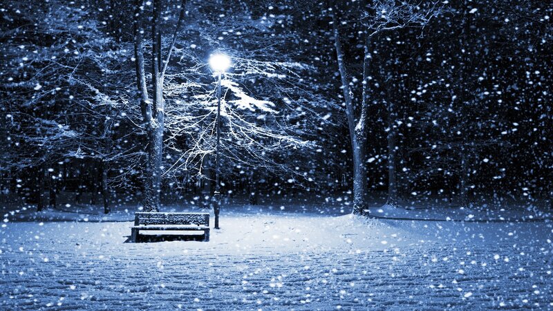 Snow-covered Bench — Trees