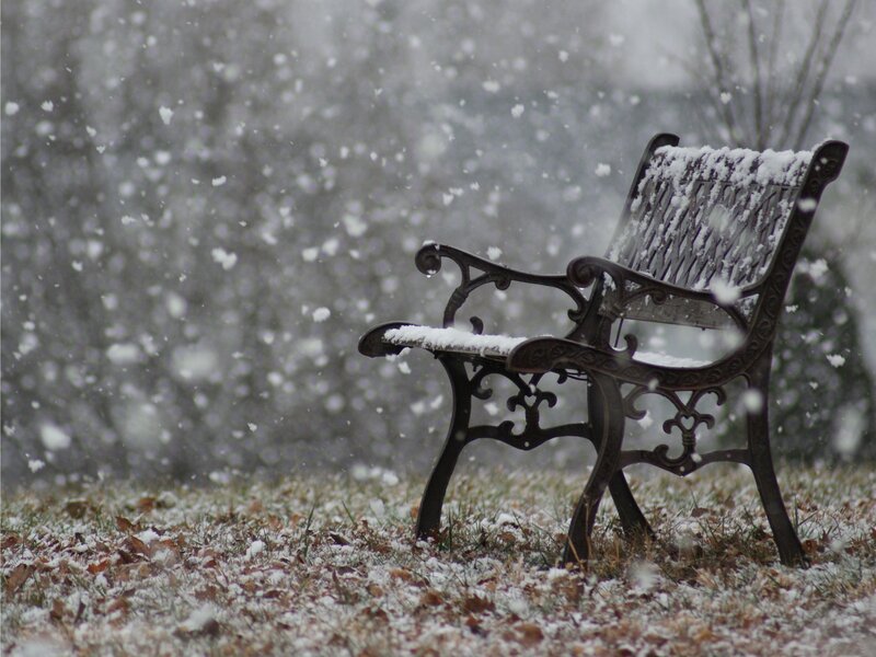 Snow-covered Bench — White, Calm, Winter, Photograph, Snow
