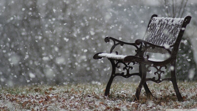 Snow-covered Bench — White, Calm, Winter, Photograph