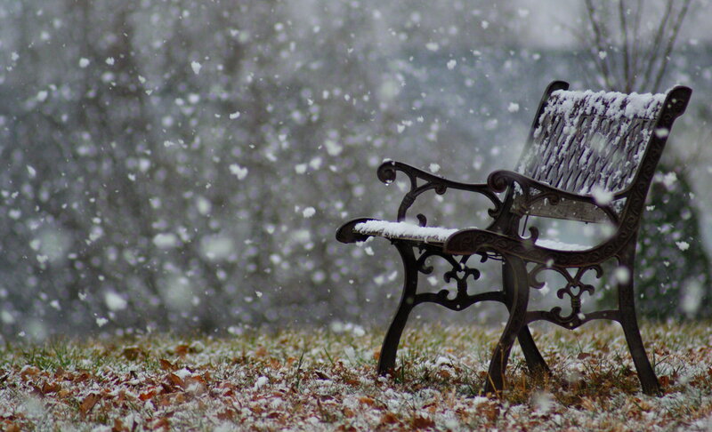 Snow-covered Bench — White, Calm, Winter