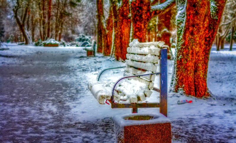Snow-covered Bench — White, Cold, Winter, Photograph, Trees, Snow