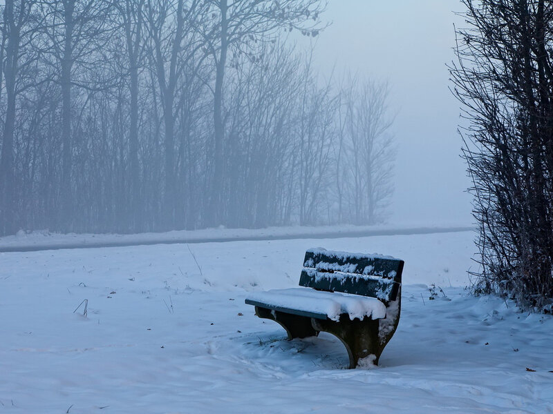 Snow-covered Bench — White, Cold, Winter, Photograph, Trees