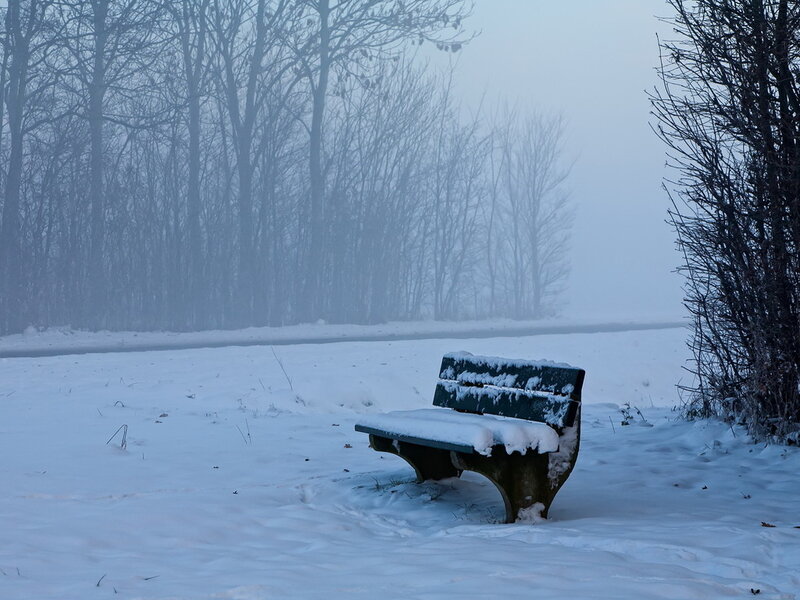 Snow-covered Bench — White, Cold, Winter