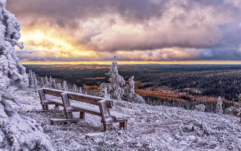 Snow-covered Bench — White, Dramatic, Winter