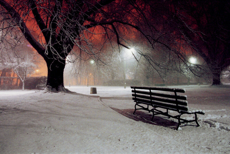Snow-covered Bench — White, Dreary