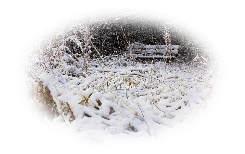 Snow-covered Bench — White, Quiet