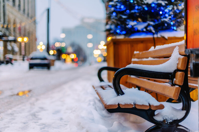 Snow-covered Bench — White, Quiet, Winter, Photograph, Christmas Tree
